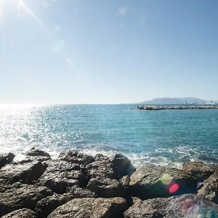 In 101681 Málaga